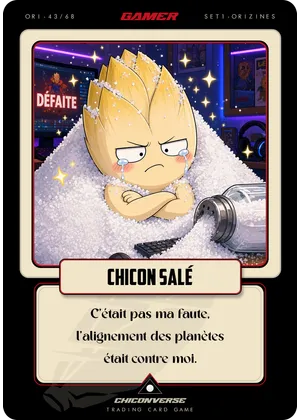 Chicon Salé
